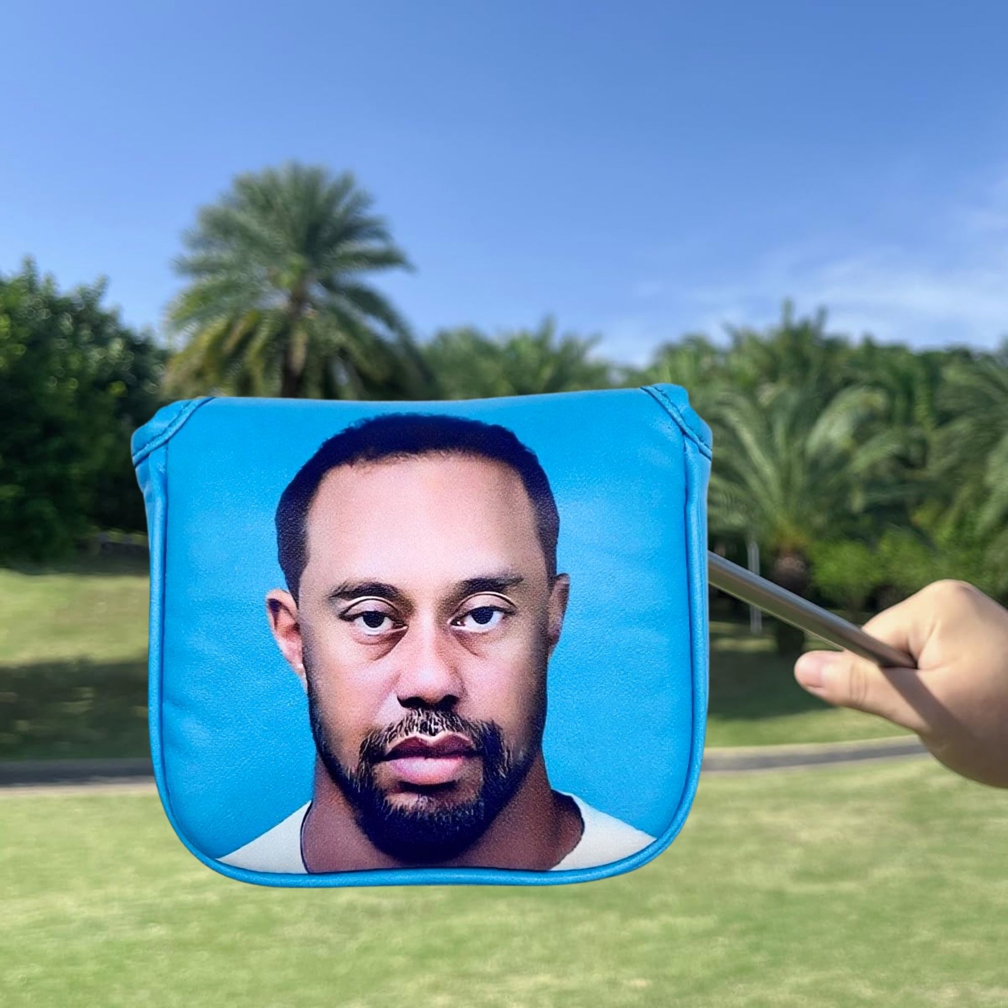 غطاء رأس مضرب الجولف المضحك، ه - مراجعة Golf Equipment And Accessories وسعره